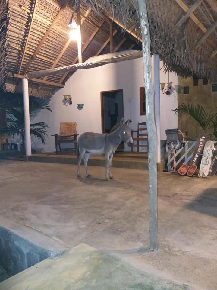 Kite Bay Villa Kalpitiya Buitenkant foto