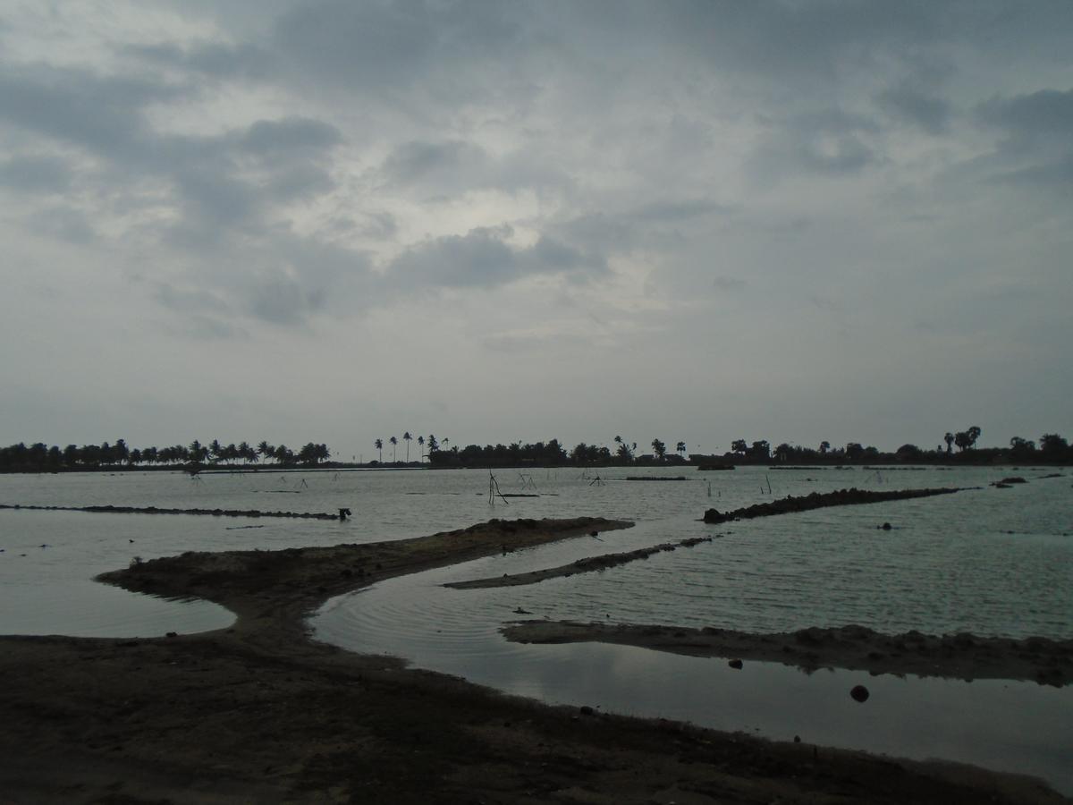 Kite Bay Villa Kalpitiya Buitenkant foto